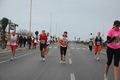 pino_ro__1081