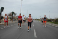pino_ro__1084