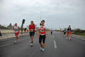 pino_ro__1086