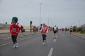 pino_ro__1094