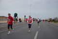 pino_ro__1095