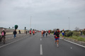 pino_ro__1098