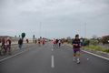 pino_ro__1099