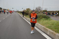 pino_ro__1111