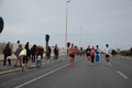 pino_ro__1118