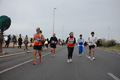 pino_ro__1124