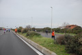 pino_ro__1135