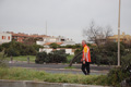 pino_ro__1142