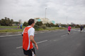 pino_ro__1149