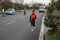 pino_ro__1154