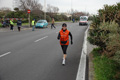 pino_ro__1156