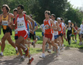 ferraresi_3637