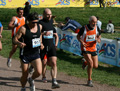 ferraresi_3687
