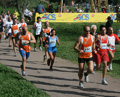 ferraresi_3697