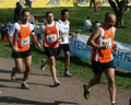ferraresi_3700