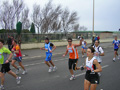 lorrin_0075