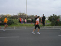 lorrin_0095