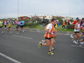 lorrin_0096