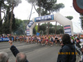 salvatori_0828