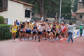 stafpat_8029