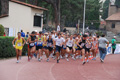 stafpat_8030