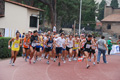 stafpat_8031