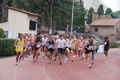 stafpat_8032