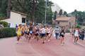 stafpat_8033