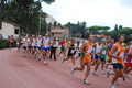 stafpat_8040