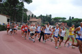 stafpat_8041