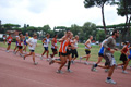 stafpat_8044