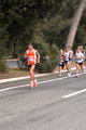 falcucci_0077