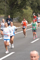 falcucci_0131