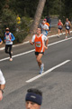 falcucci_0137
