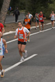 falcucci_0249