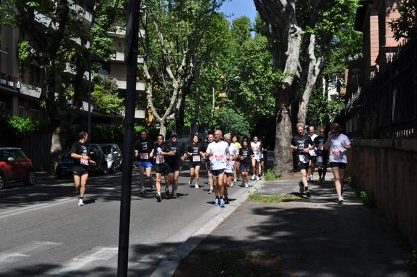 Passeggiata per NCL Charity Run (09/05/2010) coccia_senior__0812