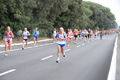 romostia_7413