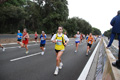 romostia_7872