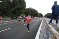 romostia_7877