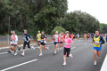 romostia_7919