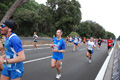 romostia_8055