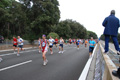 romostia_8057