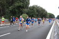 romostia_8078