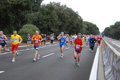 romostia_8120