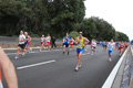 romostia_8202