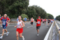 romostia_8368