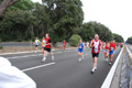 romostia_8384