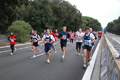 romostia_8434