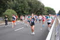 romostia_8454
