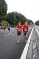 romostia_9127